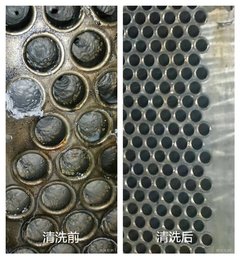 凝汽器茄子视频更懂你APP香草完工1_副本